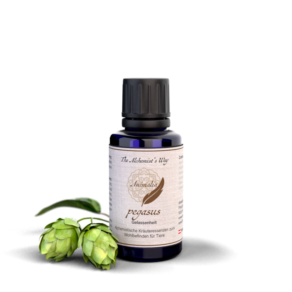 pegasus – nosvērtība