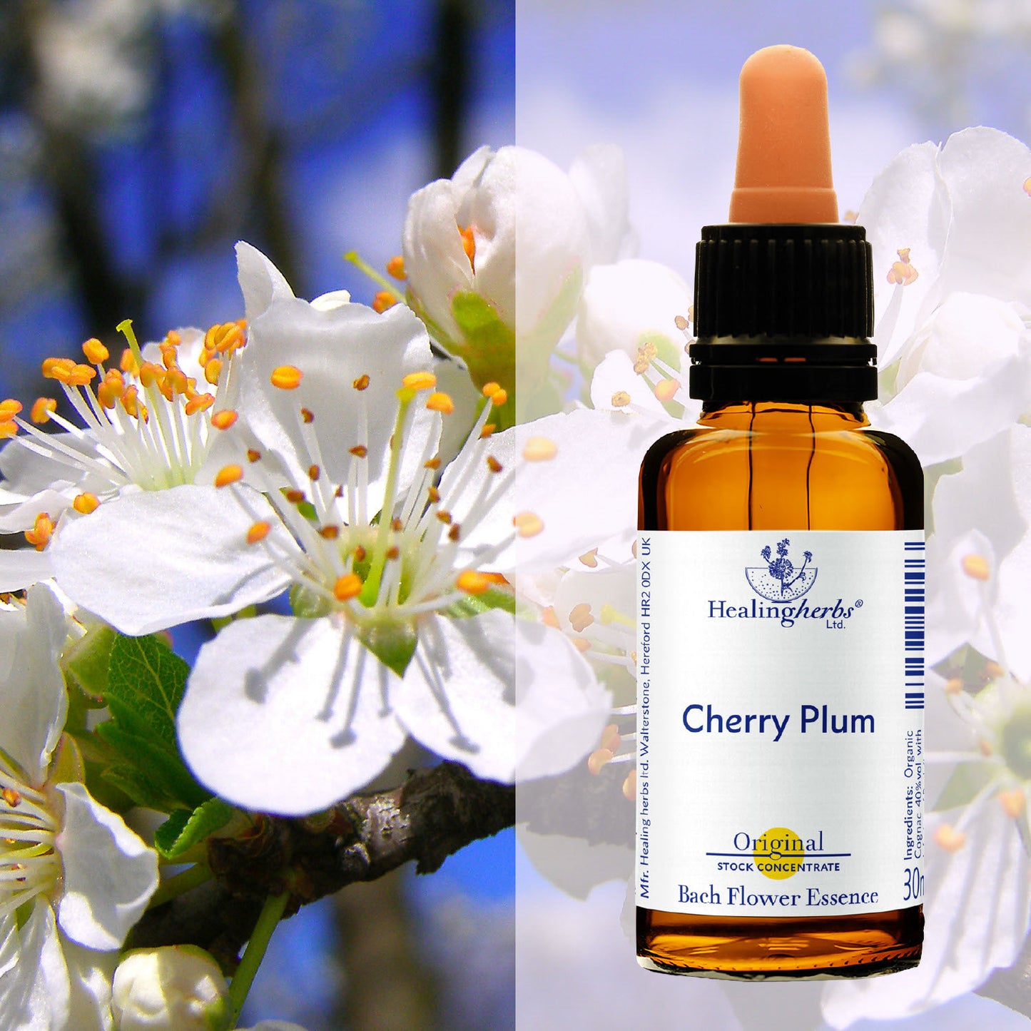Plūme/ Cherry Plum, 30 ml