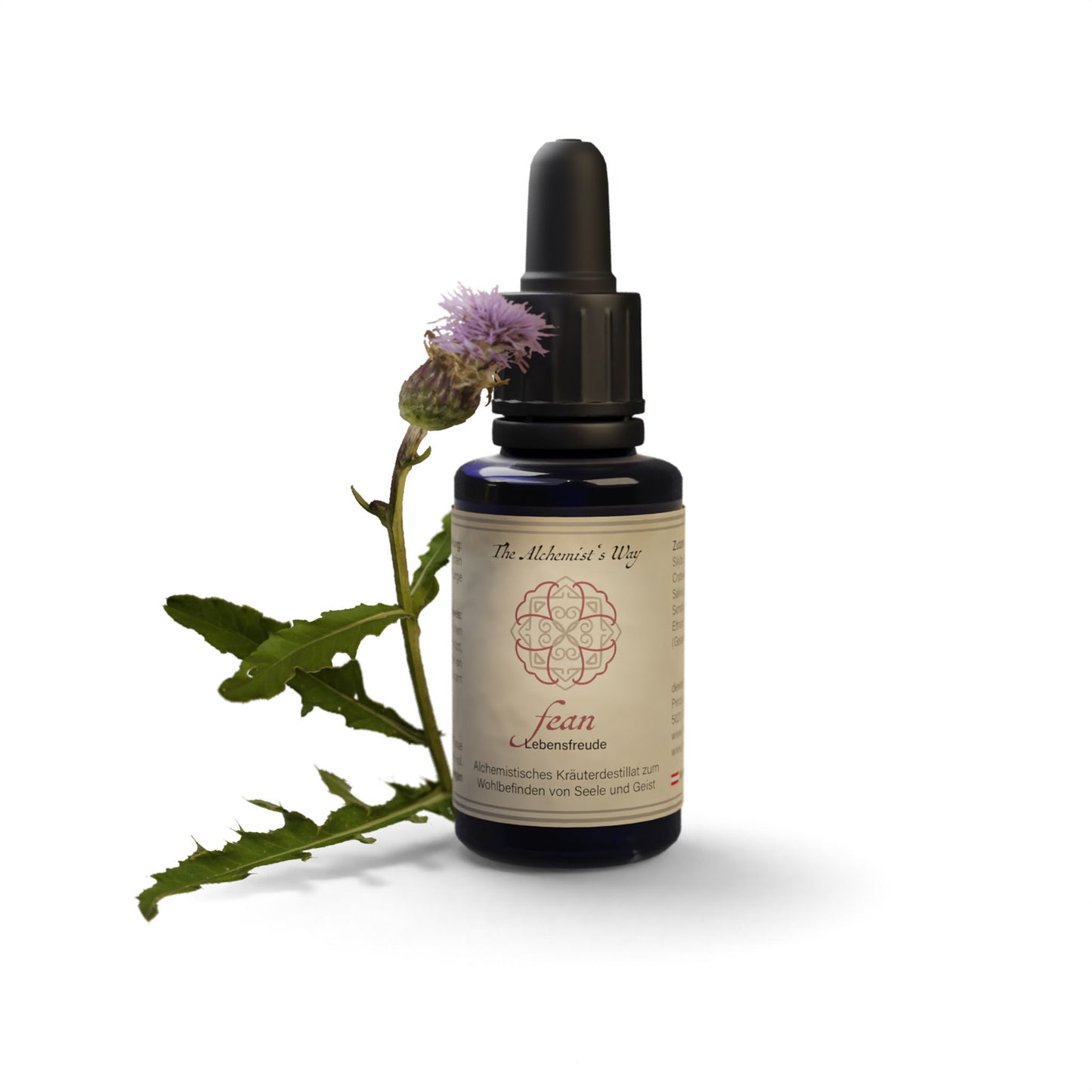 fean – dzīvesprieks