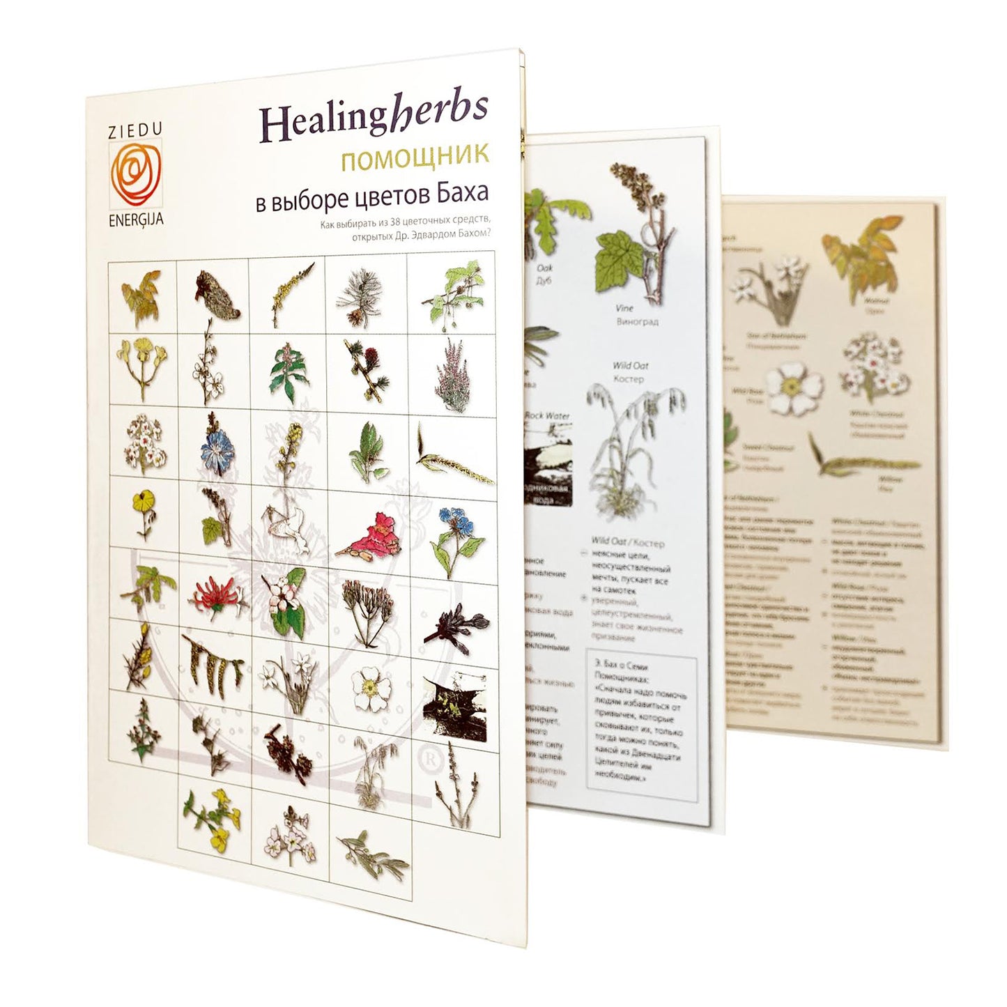 Brošūra "Помощник в выборе цветов Баха"