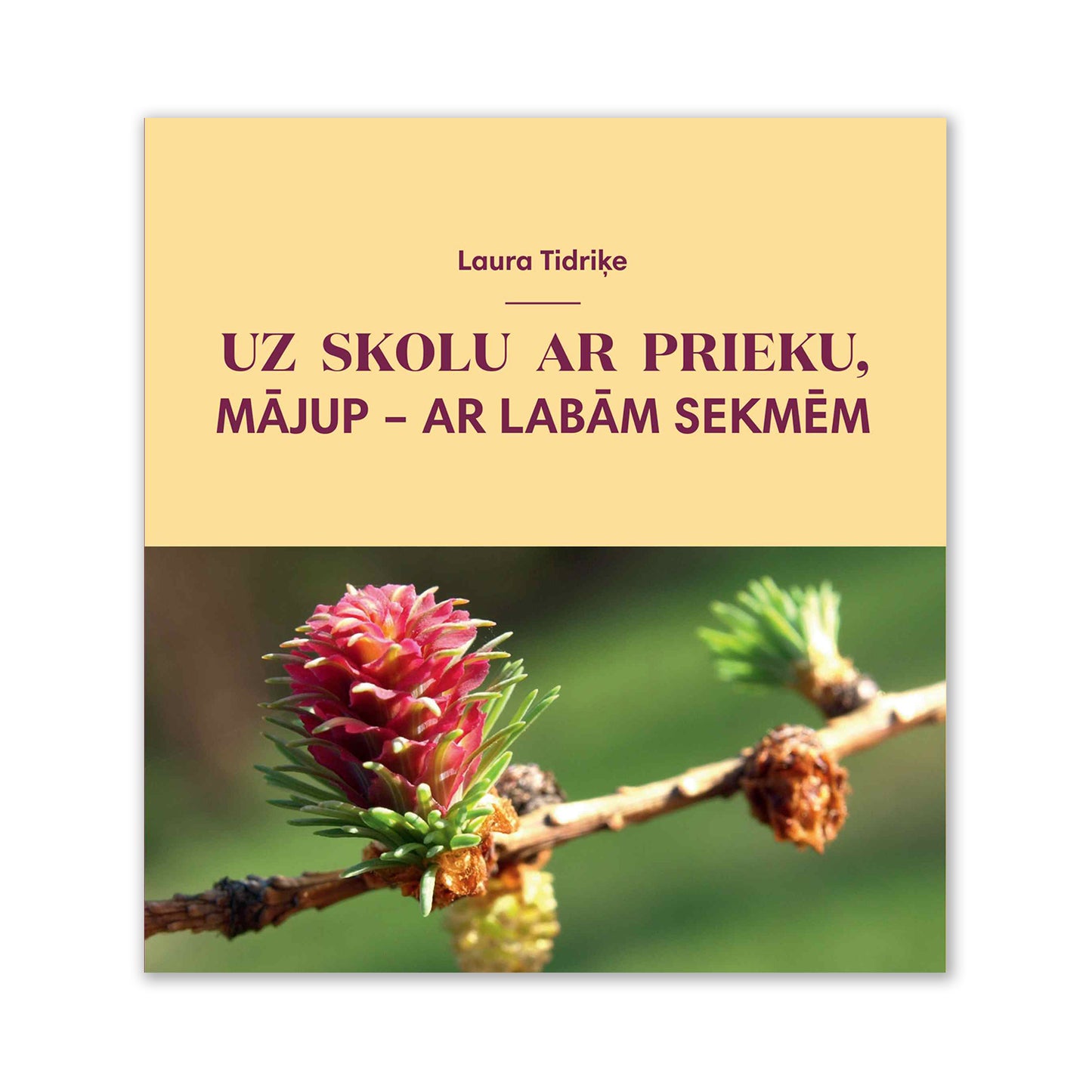 L. Tidriķe "Uz skolu ar prieku, mājup - ar labām sekmēm"