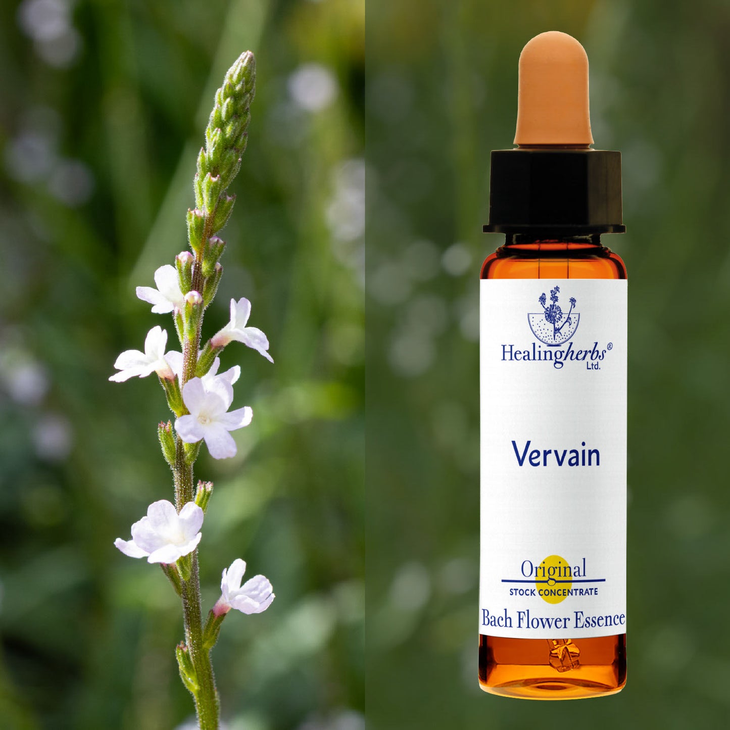 Verbēna / Vervain, 10 ml