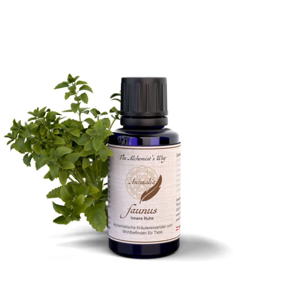 faunus – iekšējais miers