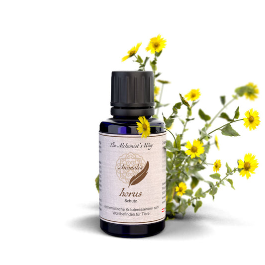 horus – aizsardzība