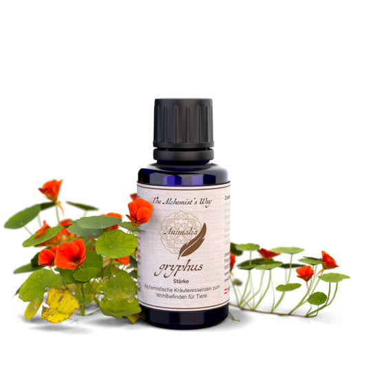 gryphus – izturība