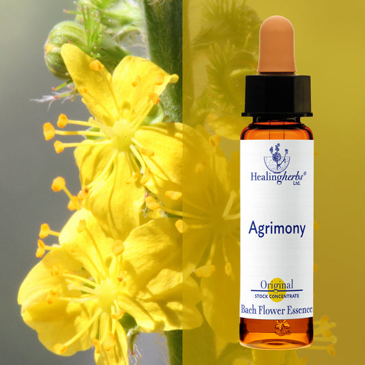 Ancītis / Agrimony, 10 ml