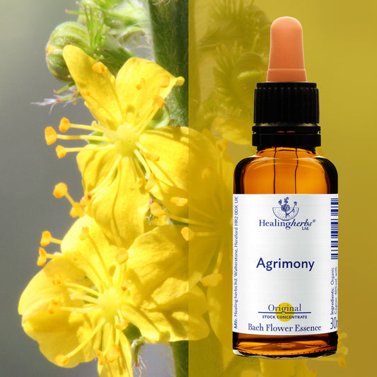 Ancītis / Agrimony, 30 ml