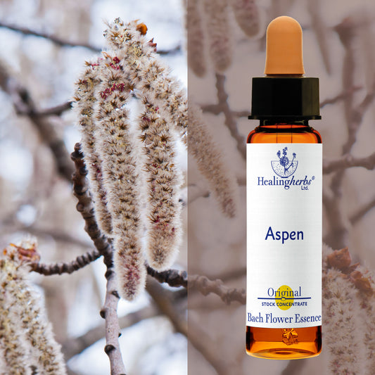Apse / Aspen, 10 ml