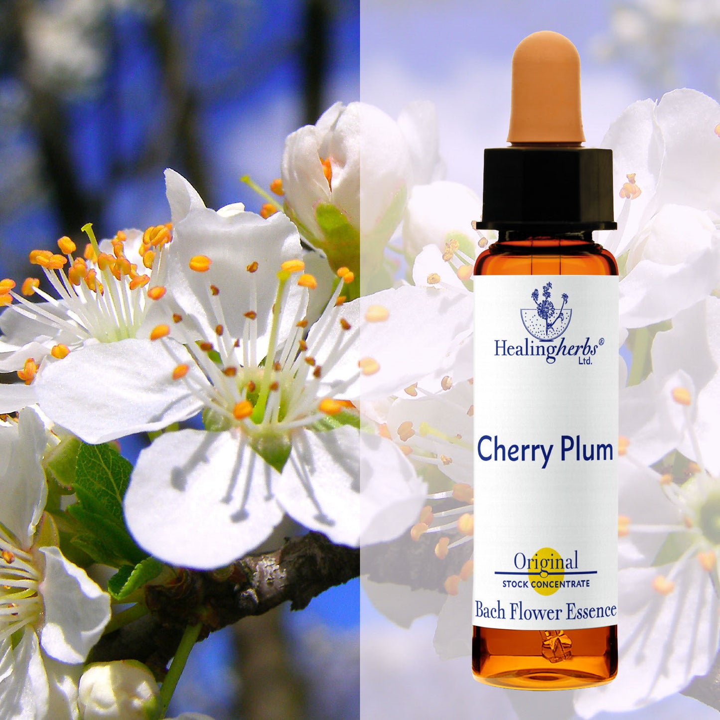 Plūme/ Cherry Plum, 10 ml
