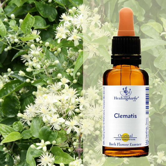 Mežvītenis / Clematis, 30 ml