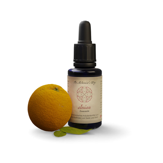 elnian – pārliecība