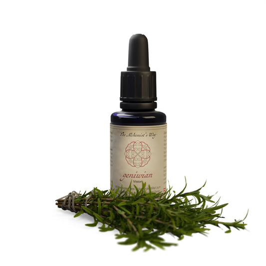 geniwian – mērķtiecība