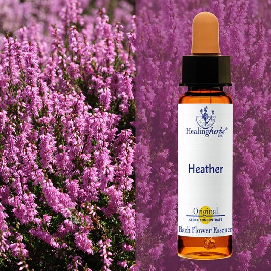 Virsis / Heather, 10 ml