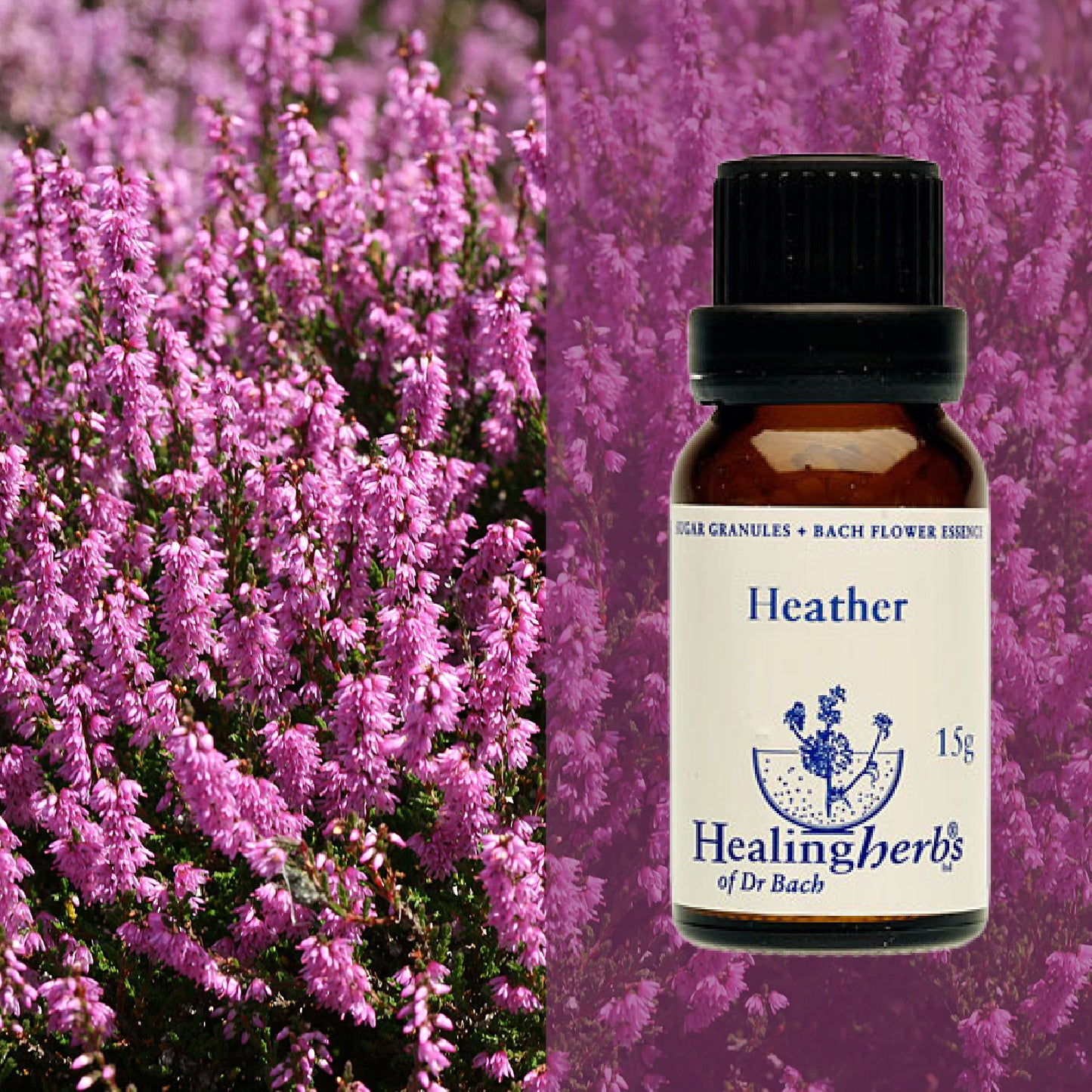 Virsis / Heather, 15 g