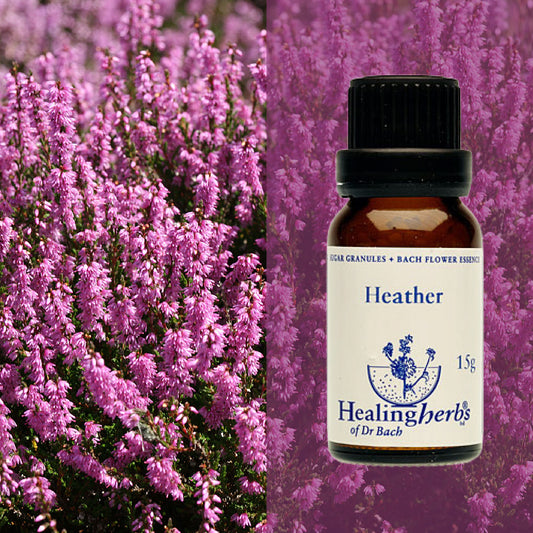 Virsis / Heather, 15 g