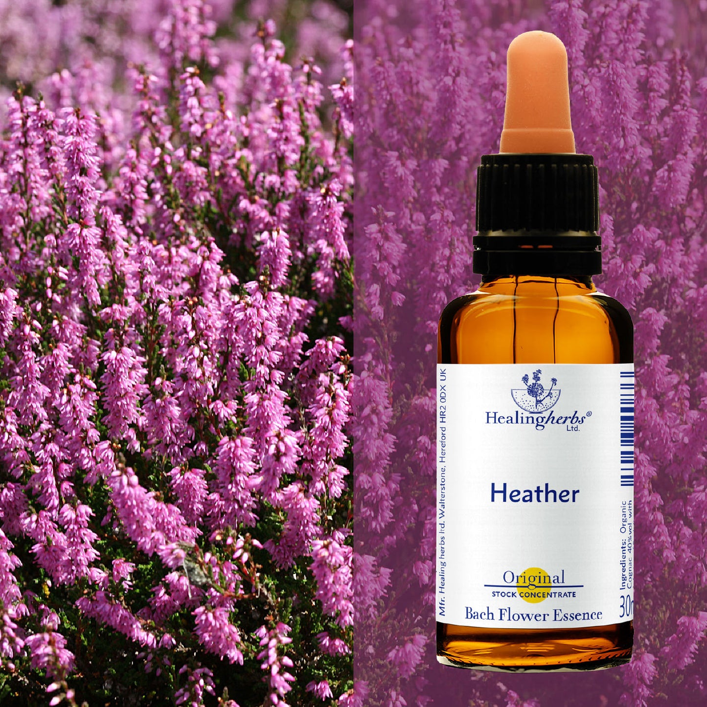 Virsis / Heather, 30 ml