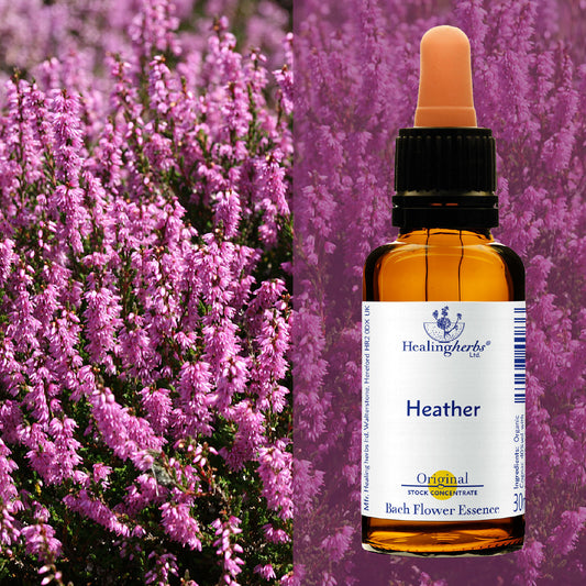 Virsis / Heather, 30 ml