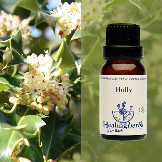 Ilekss / Holly, 15 g