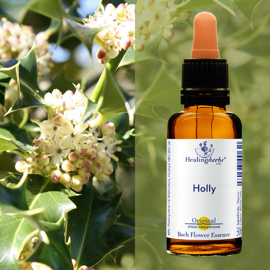 Ilekss / Holly, 30 ml