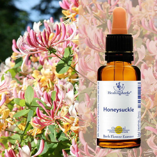 Vīteņsausserdis / Honeysuckle, 30 ml