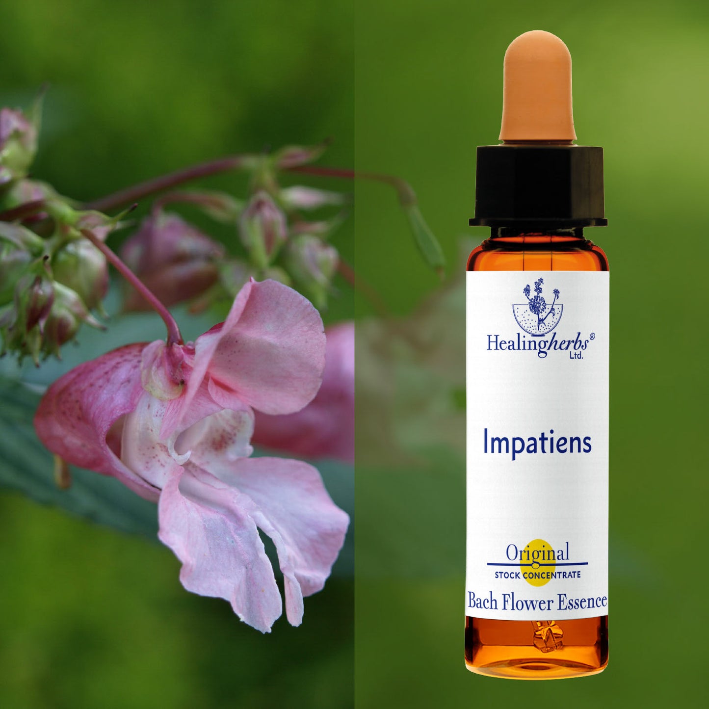 Sprigane / Impatiens, 10 ml