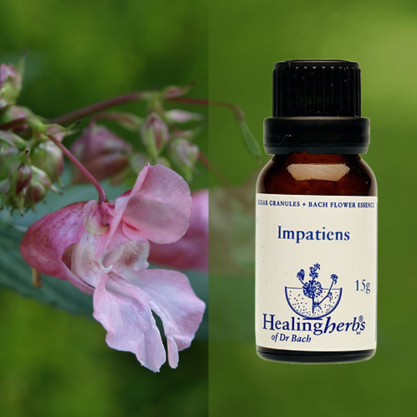 Sprigane / Impatiens, 15 g