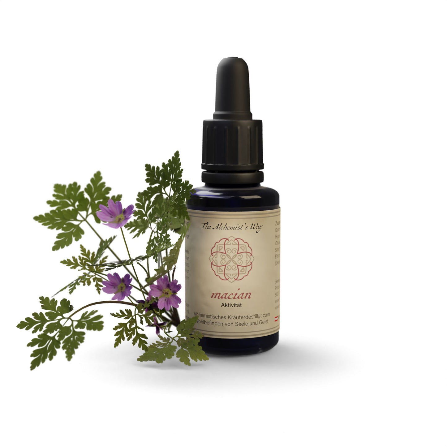 macian – aktivitāte