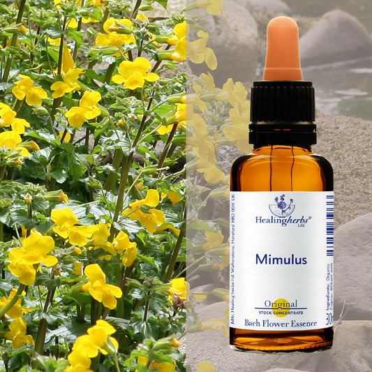 Pērtiķmutīte / Mimulus, 30 ml