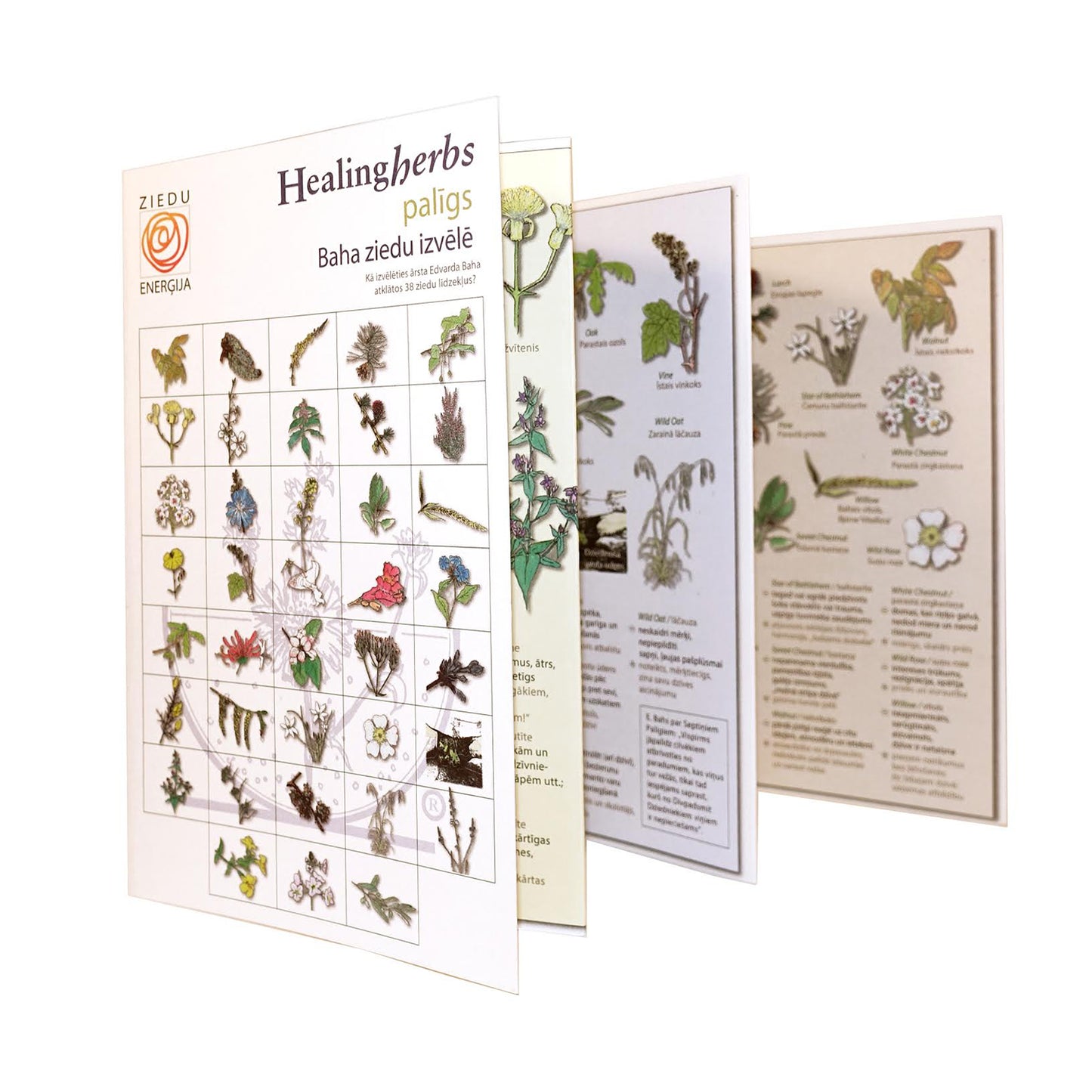 Brošūra "Palīgs Baha ziedu izvēlē" (bezmaksas)