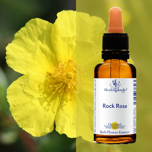 Saulrozīte / Rock Rose, 30 ml