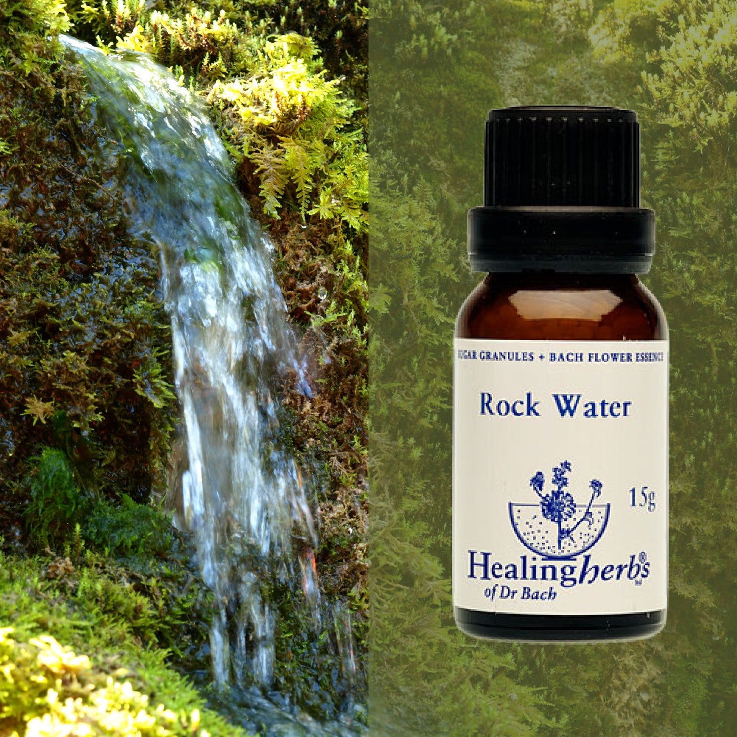 Avota ūdens / Rock Water, 15 g