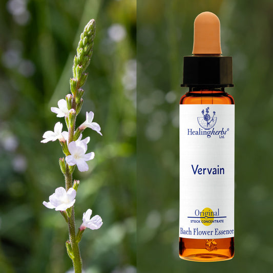 Verbēna / Vervain, 10 ml