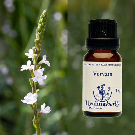 Verbēna / Vervain, 15 g