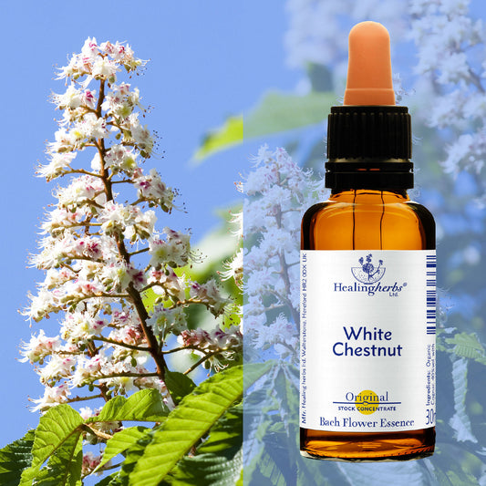 Parastā zirgkastaņa / White Chestnut, 30 ml