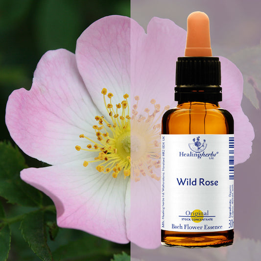 Roze / Wild Rose, 30 ml