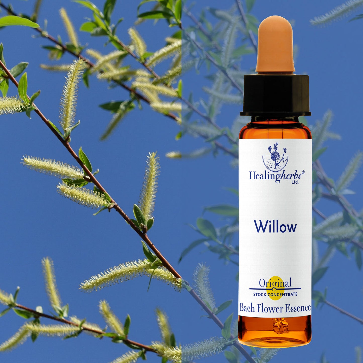 Vītols / Willow, 10 ml