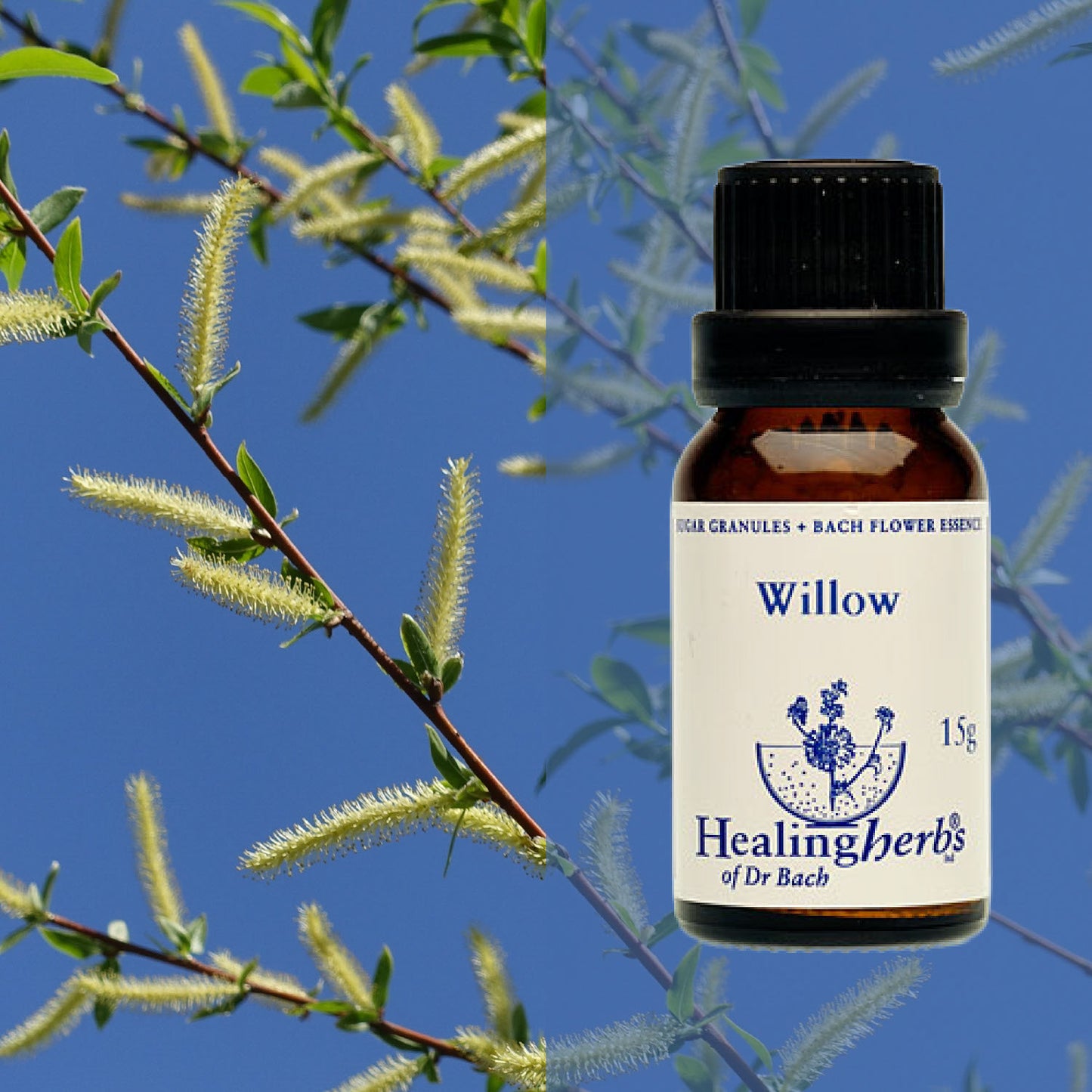 Vītols / Willow, 15 g