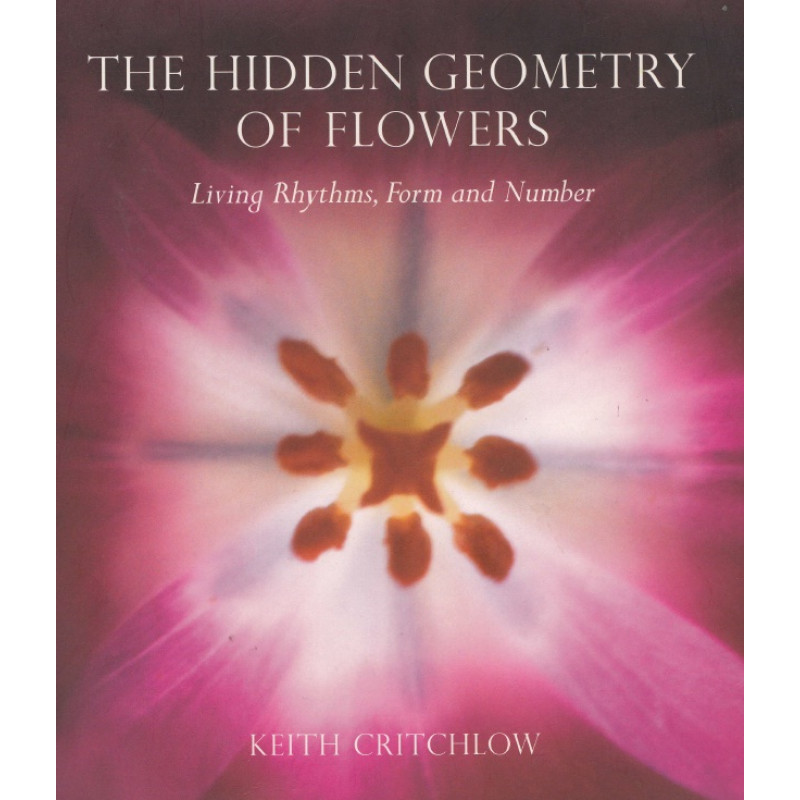 The Hidden Geometry of Flowers