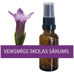 Kombinācija "Veiksmīgs skolas sākums", 30 ml