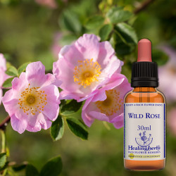 Roze / Wild Rose, 30 ml