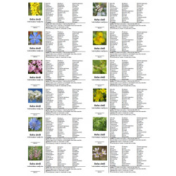 Uzlīmes individuālajiem maisījumiem Nr. 2 (latviešu valodā)